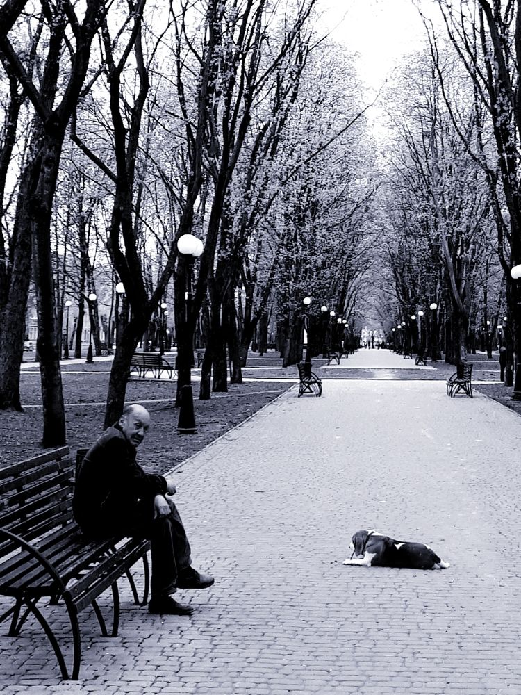 Photograph by Вадим Семенов