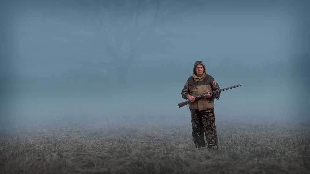 Утро в лесу