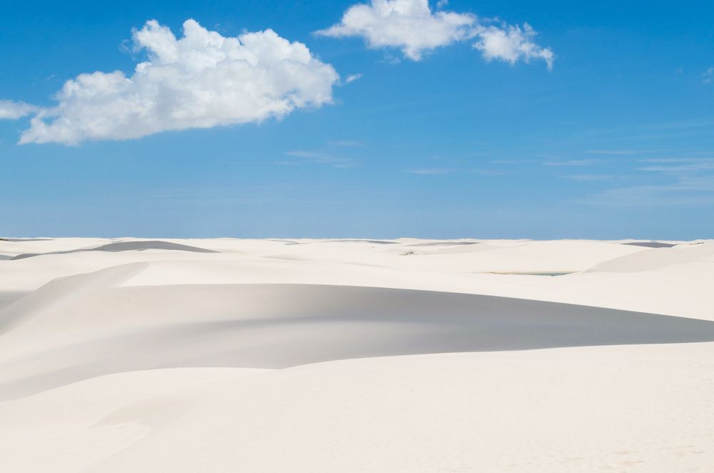 Lines and Shapes in nature