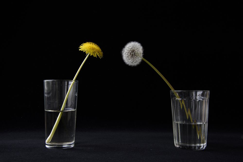 Судьбе наперекор