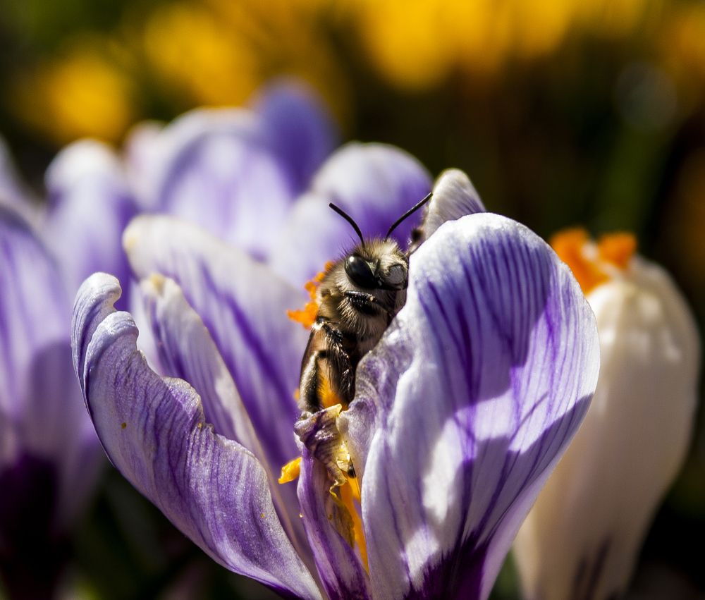 Я стесняюсь