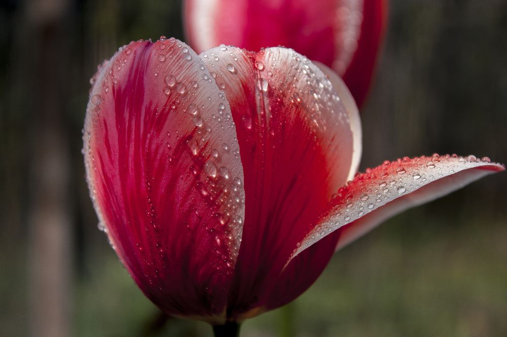 На рассвете