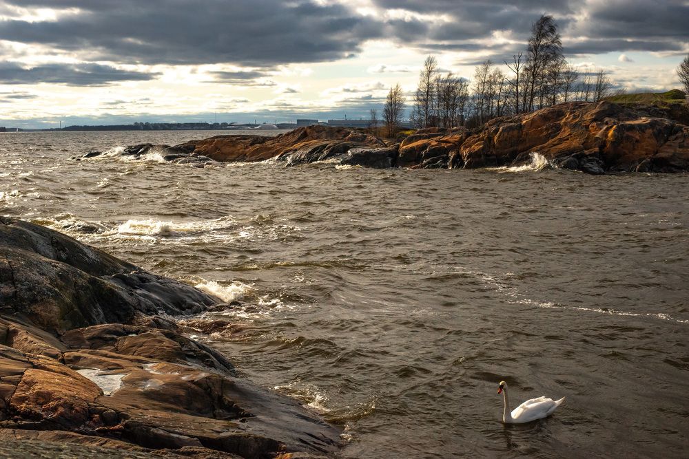 Белый Лебедь