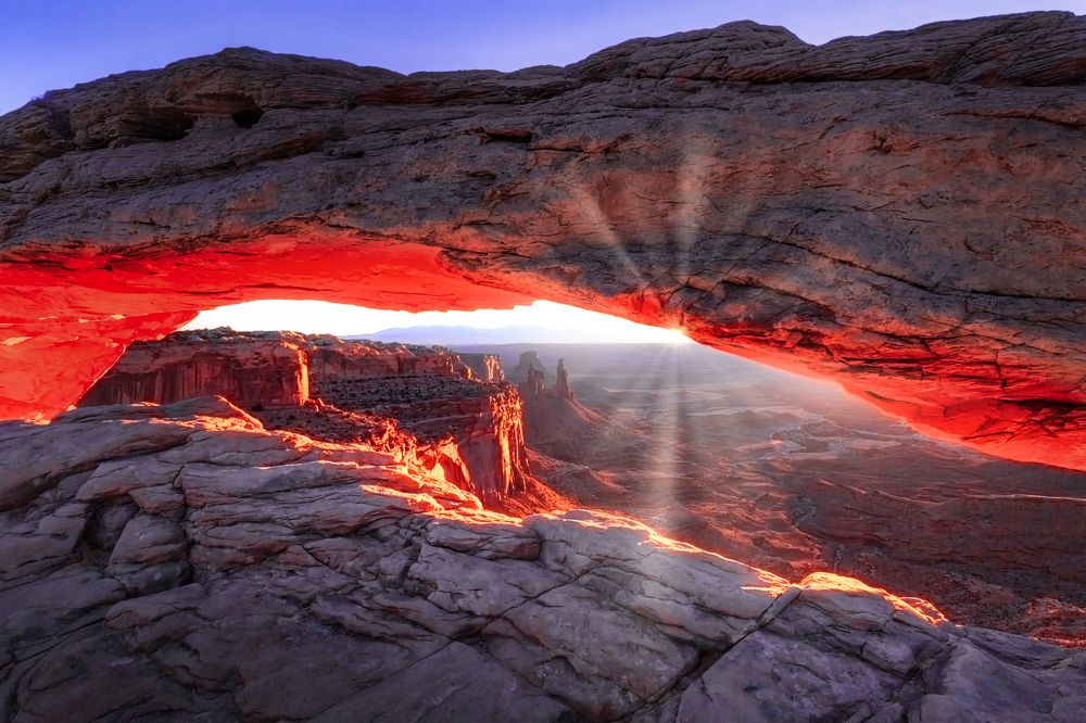 Photograph by Brian Adamson