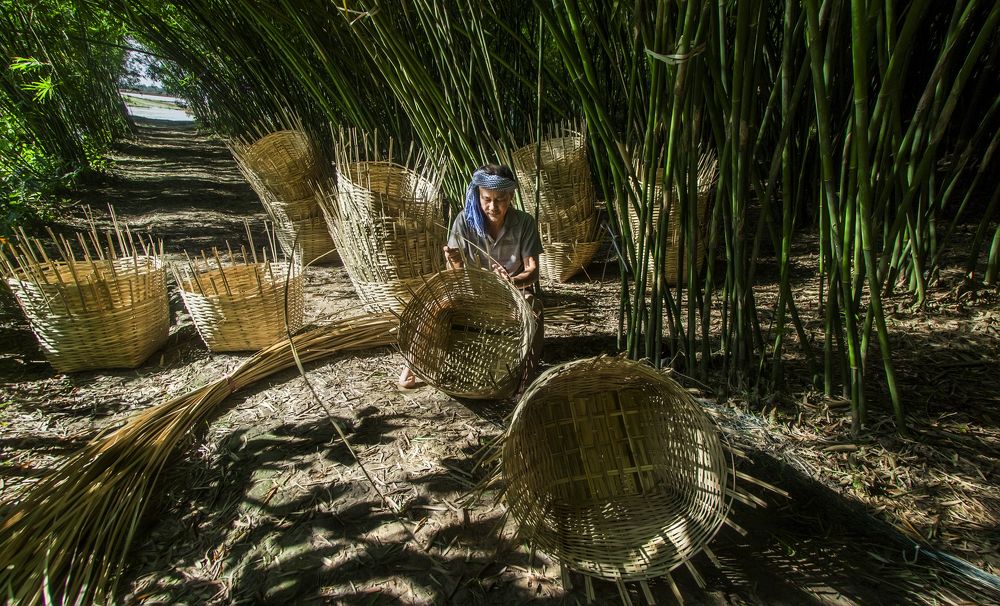 War is suffering and loss