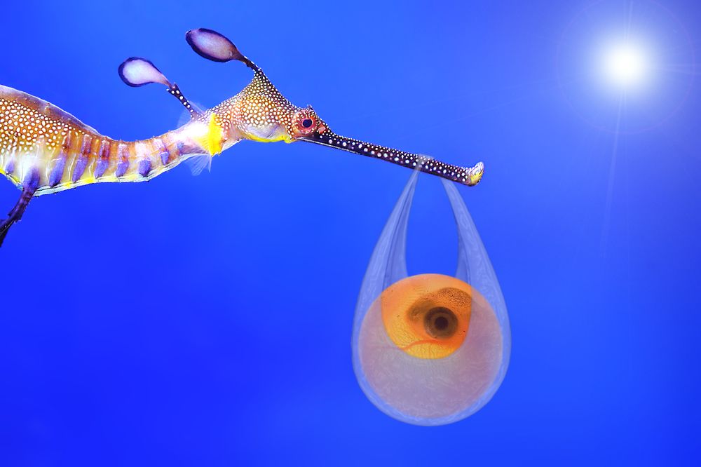 Вот так сюрприз...