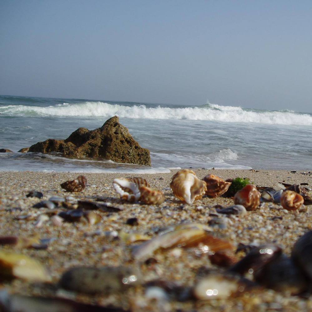 au delà s étend mon rêve