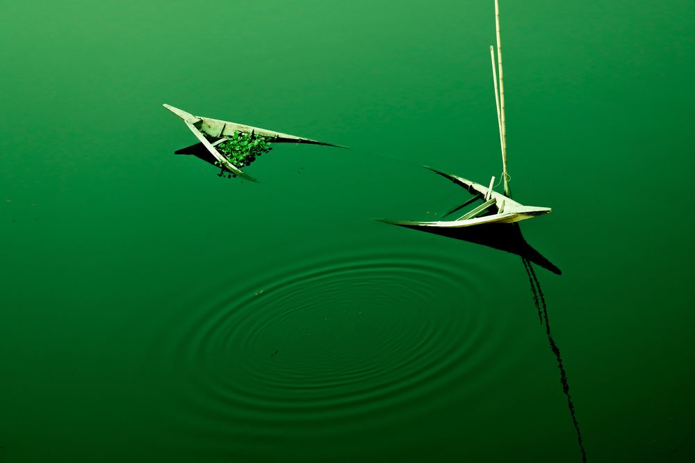 Dreams! They Want to Float Again