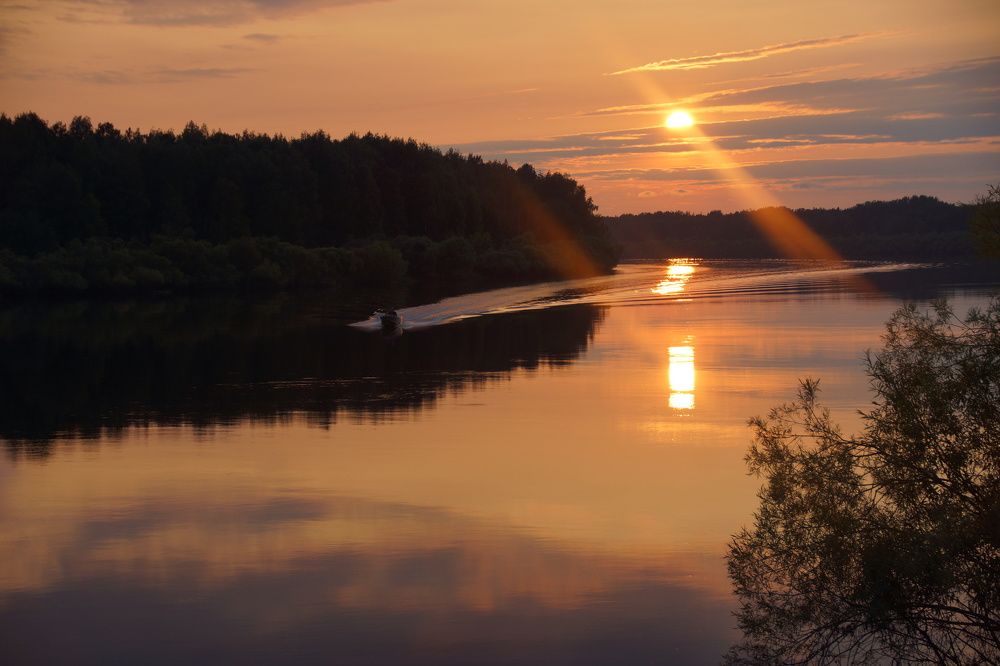 Вечерняя охота