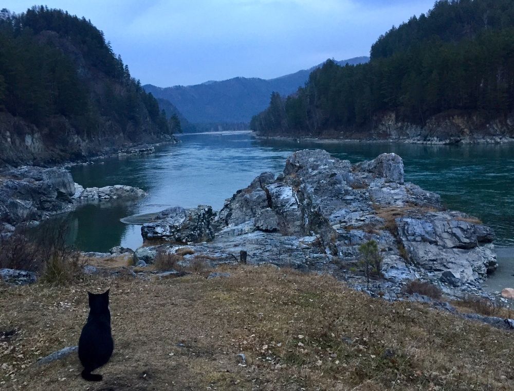 Наблюдатель. Вечер на Катуни