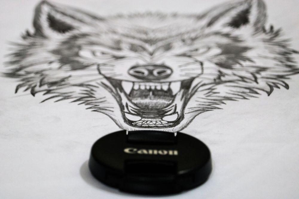 Photographers Rarely Fear Anything