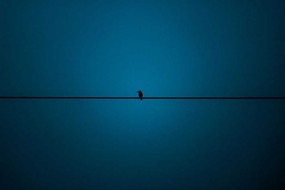 A Strong Witness of Division