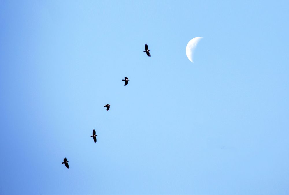 Daylight, full of small dancing particles!