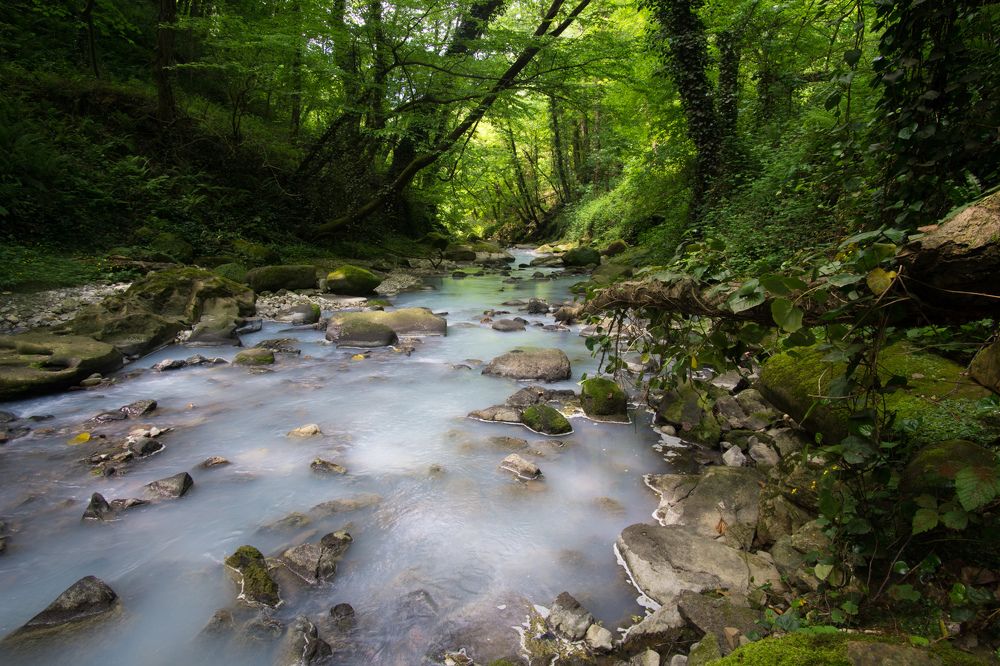 Молочная река на кисельных берегах