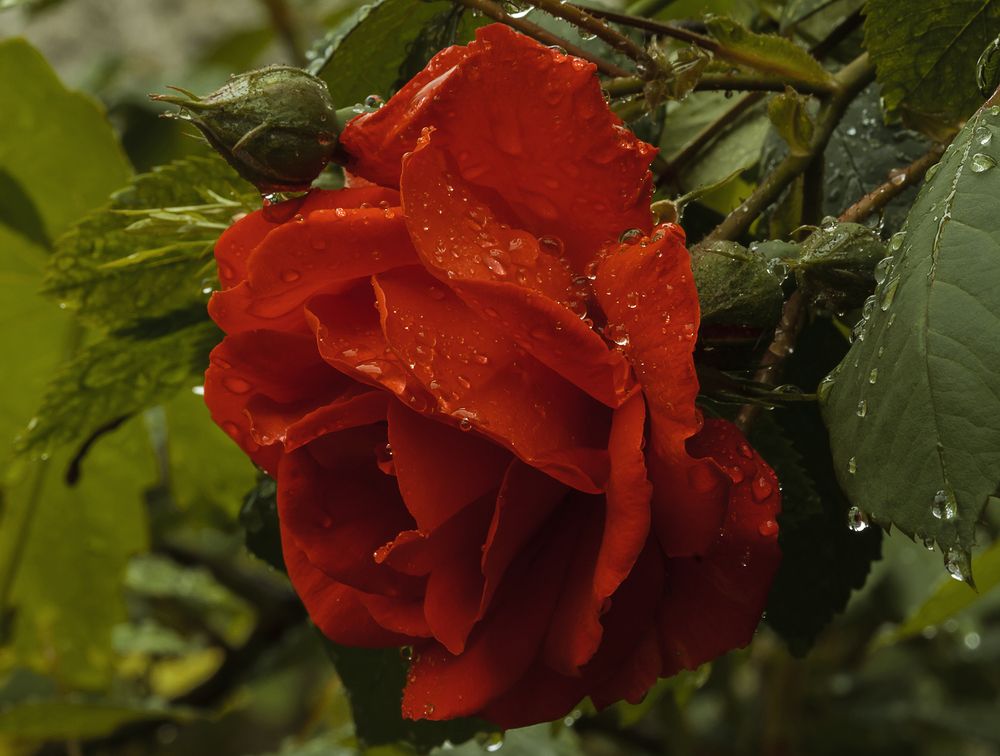 В начале мая...