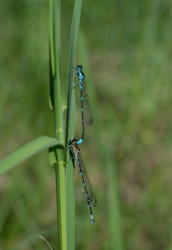 Photograph by Алексей Крукович