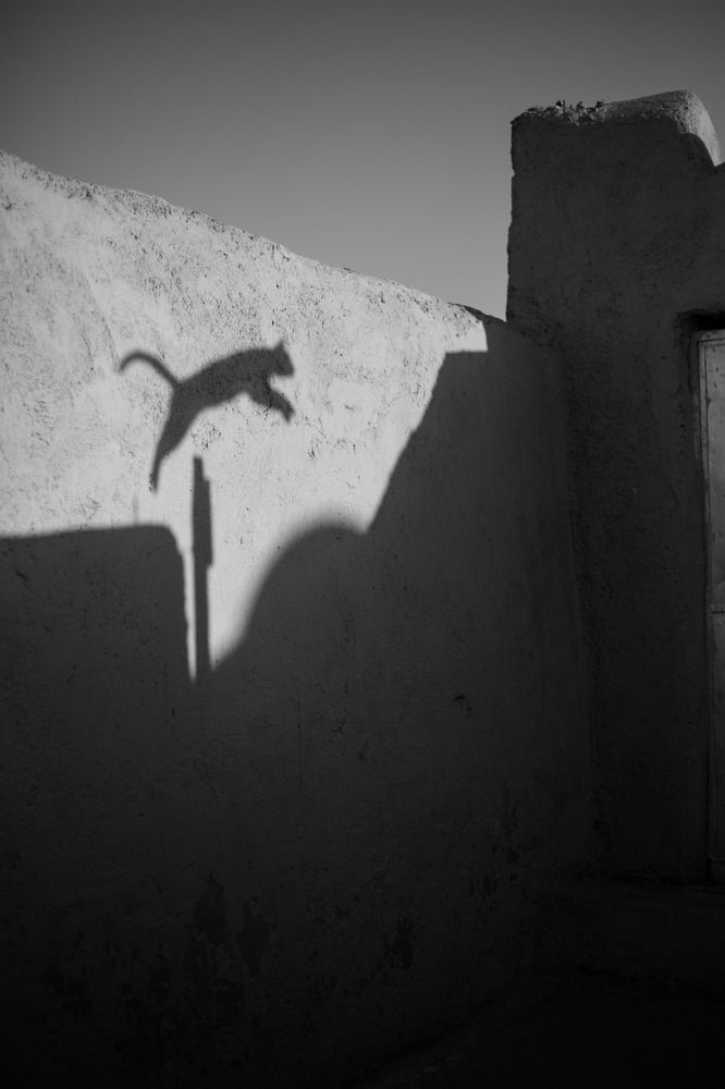 jumping shadow