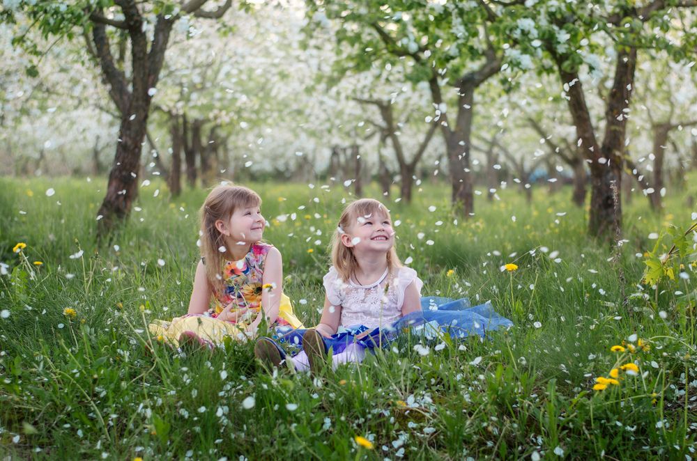 Танец лепестков