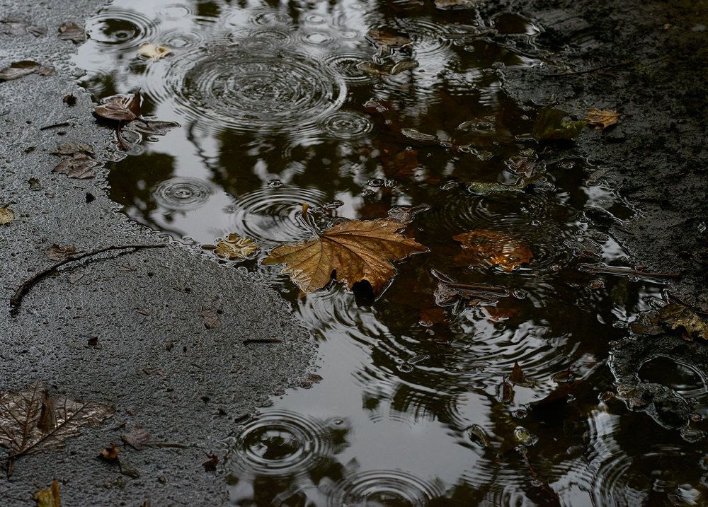 Музыка дождя