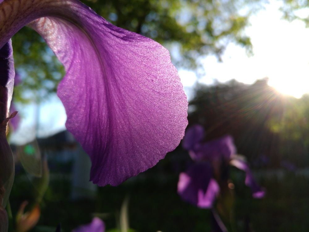 Световой шёлк