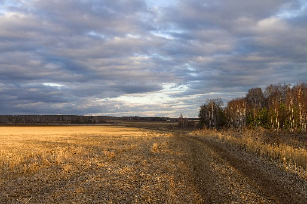 Photograph by 