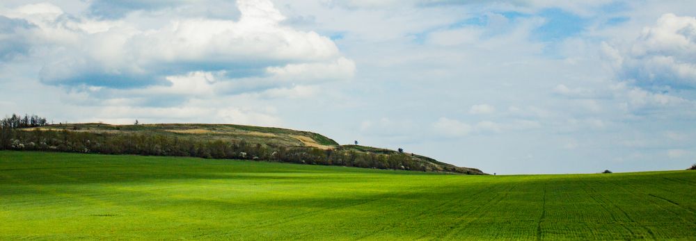 Photograph by Максим Митченко