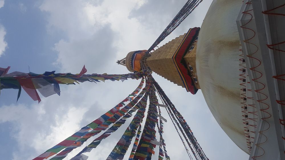Wind of Freedom