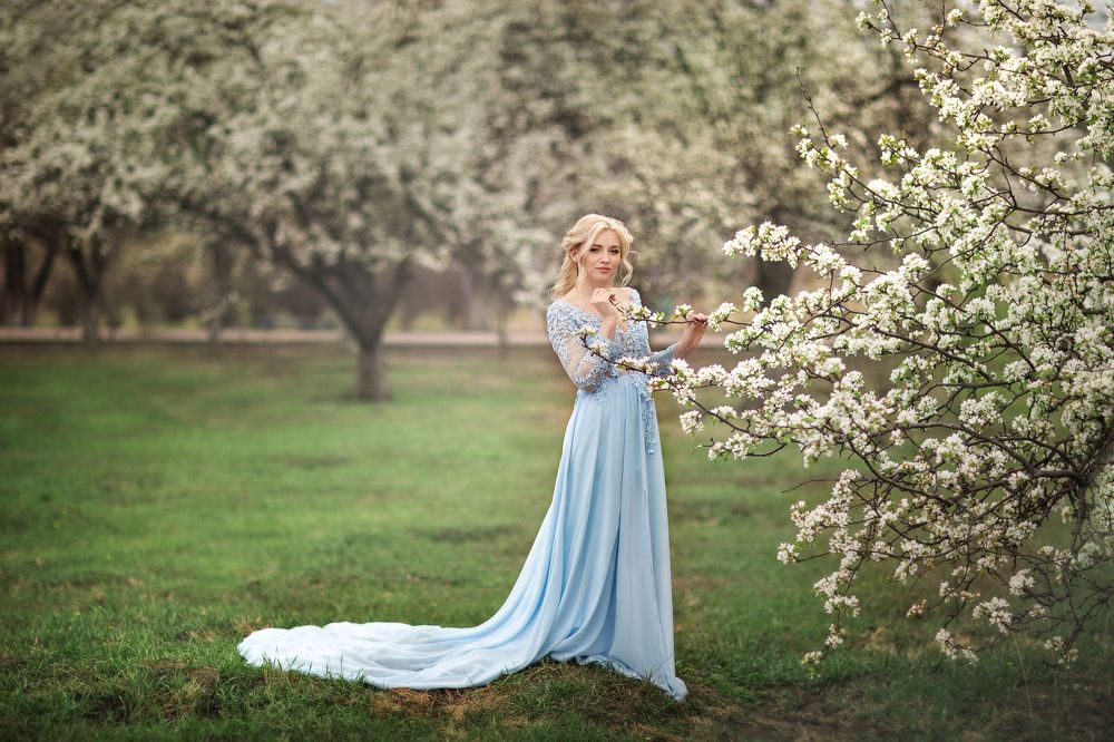 Один раз в год сады цветут...