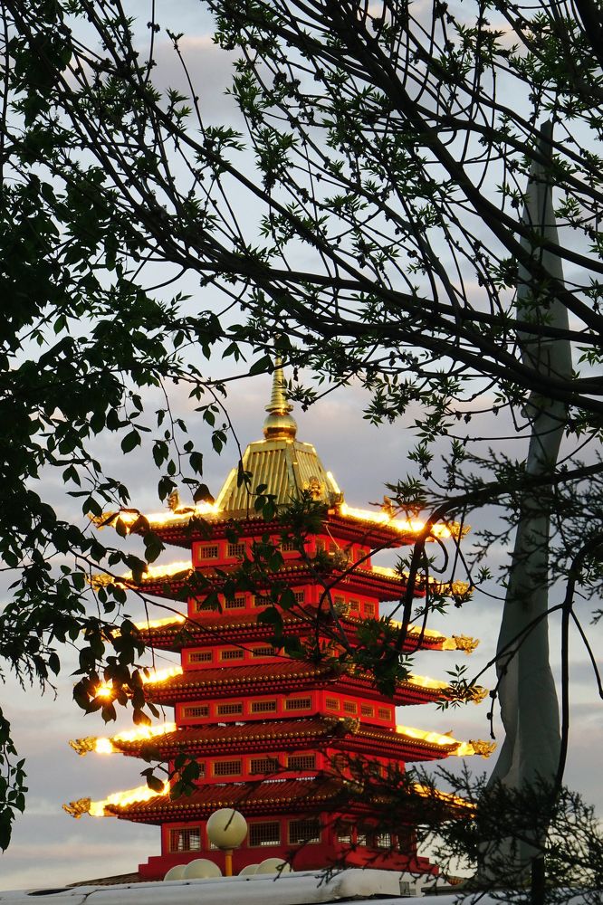 Elista. Pagoda 7 days