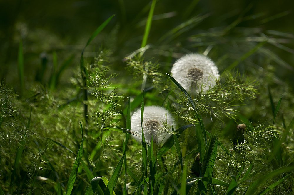 Воздушность...