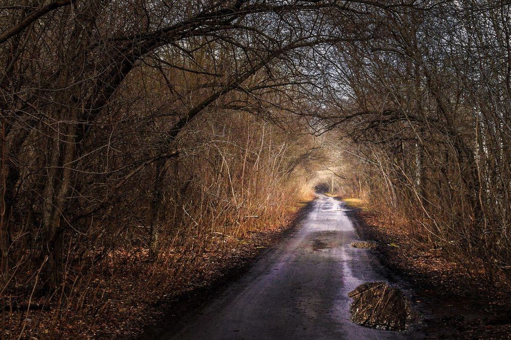 Туннель в сказочный мир