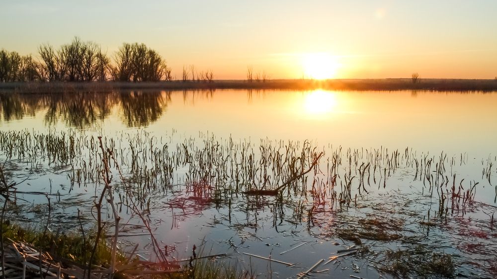 Photograph by Роман Васильевич