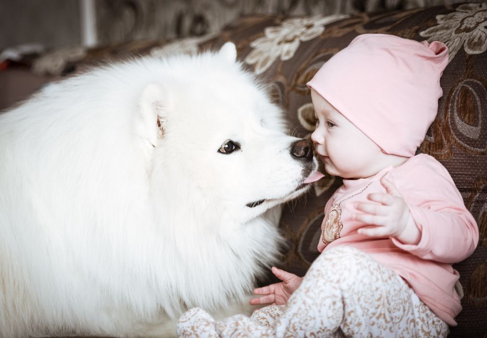 Лучший друг