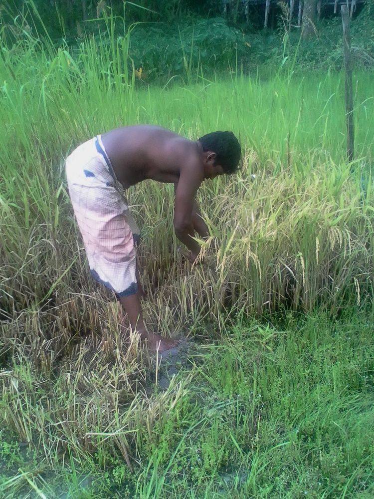 bangladesh