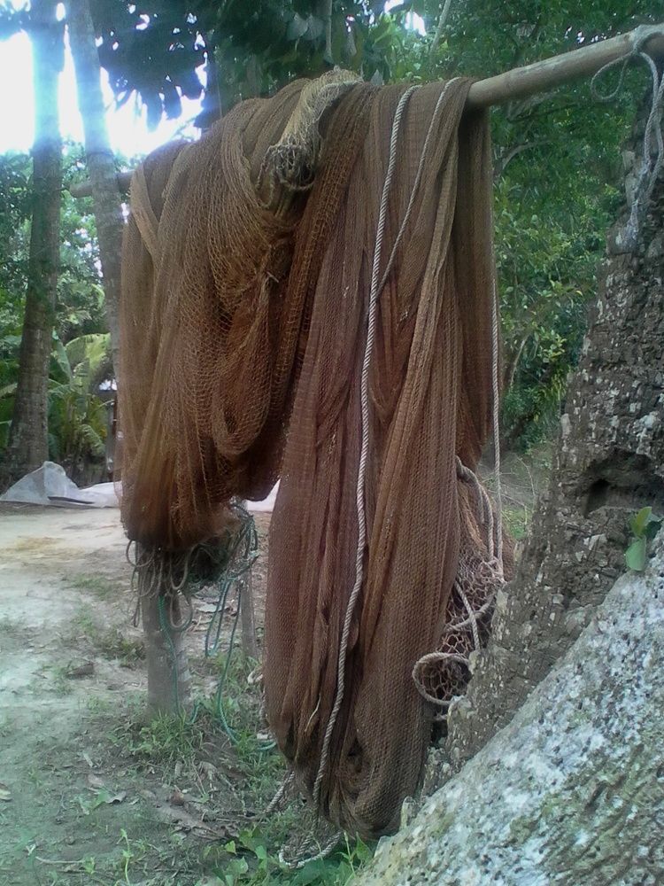 bangladesh
