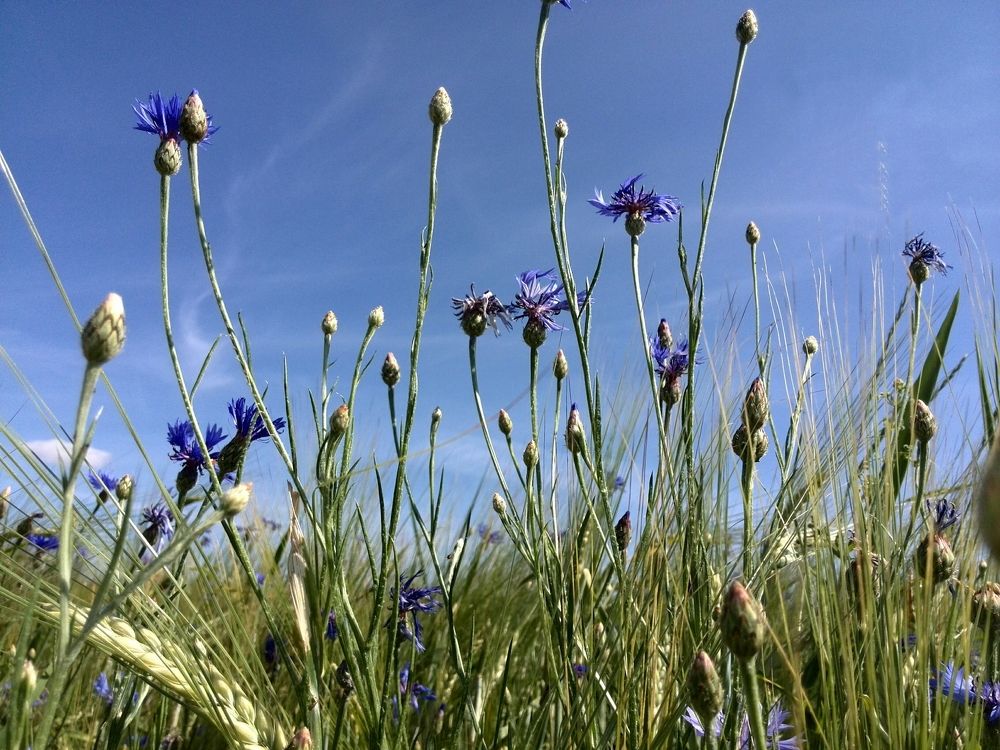 Photograph by Гарах Татьяна