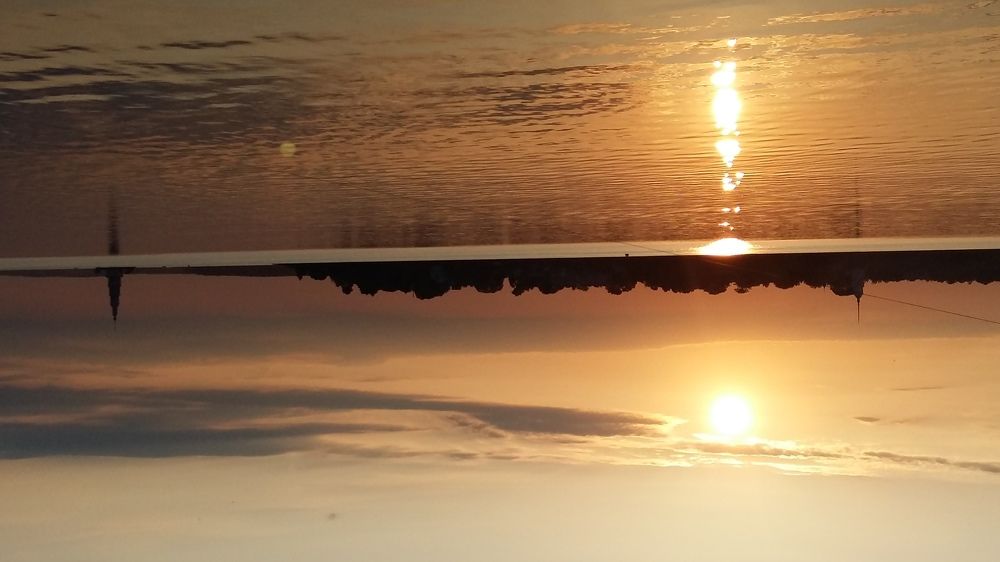 Photo #2323228