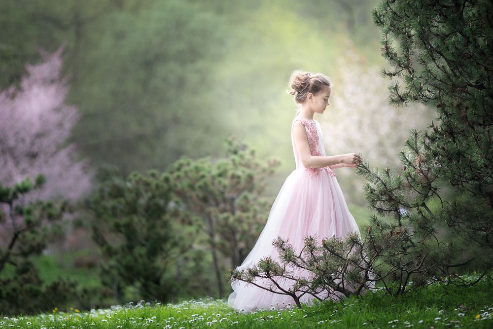 Утро в Японском саду