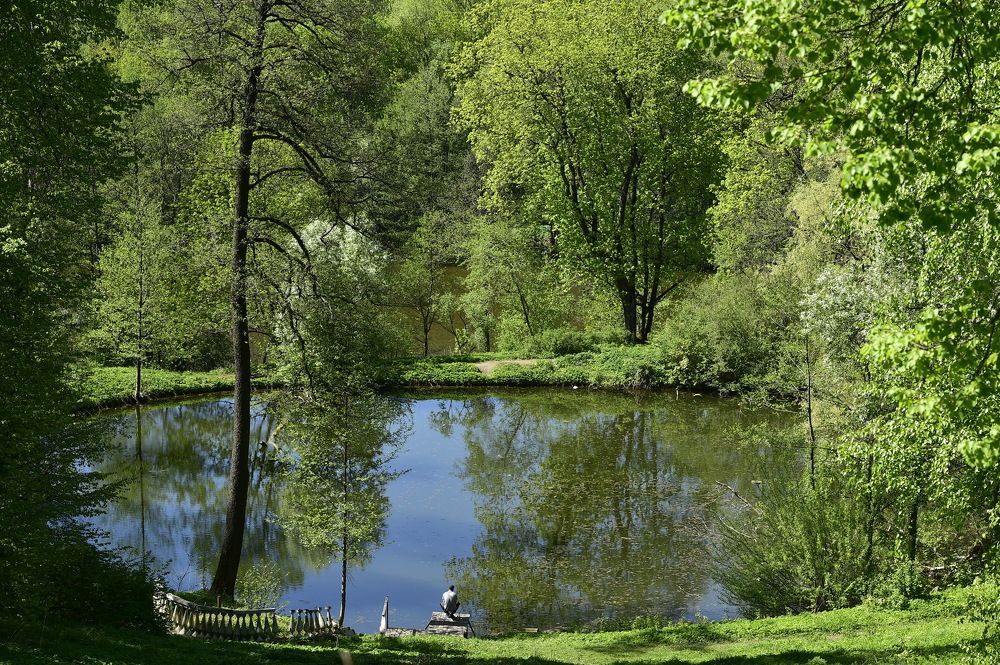 Одиночество.