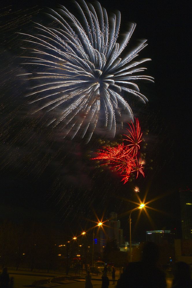 цветы памяти