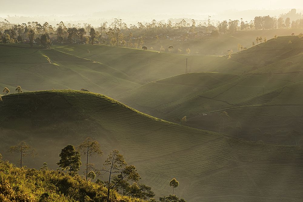 Between dark and light