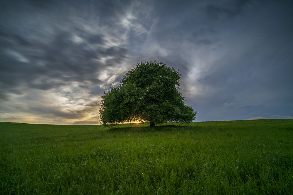 Photograph by Eddie Adamov