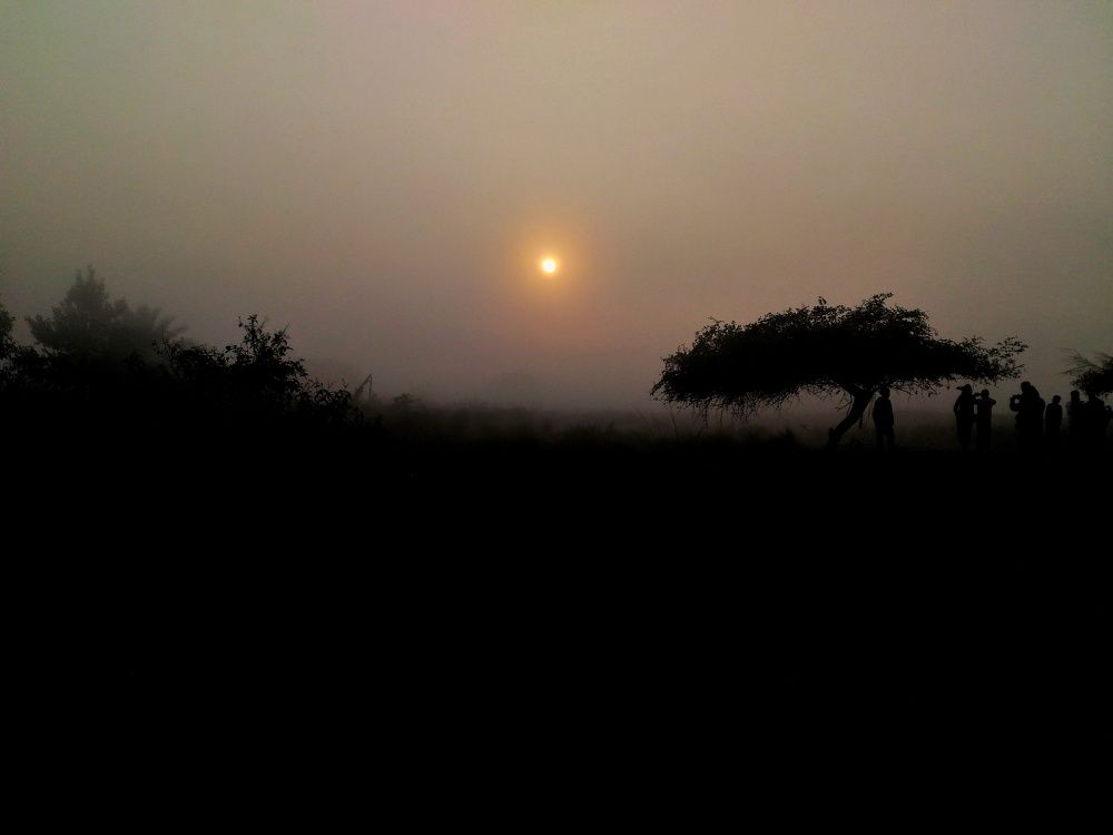 Sundorbon.Bangladesh