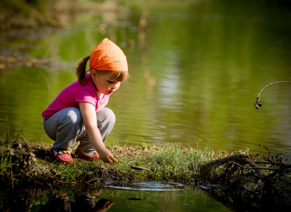 В поисках рыбки