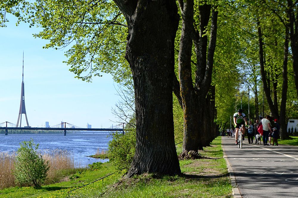 Прогулка. - Stroll.