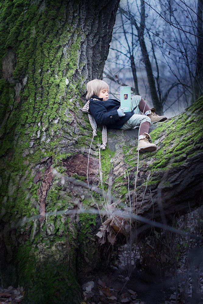 Любимая книга