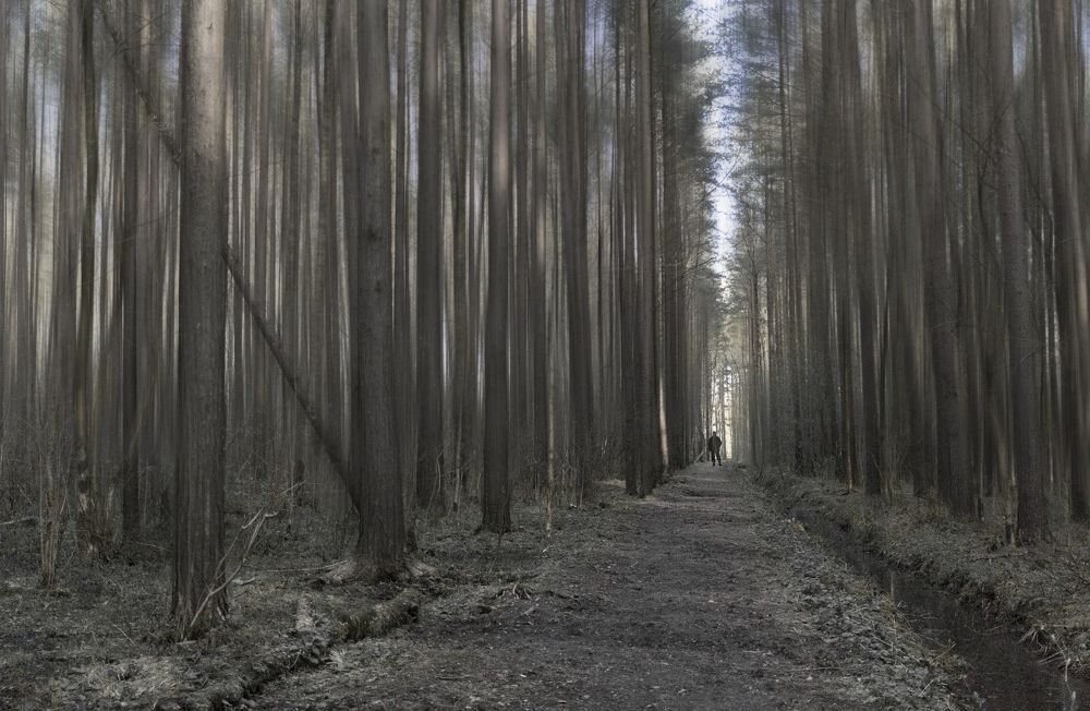 Photograph by Алексей Труханович