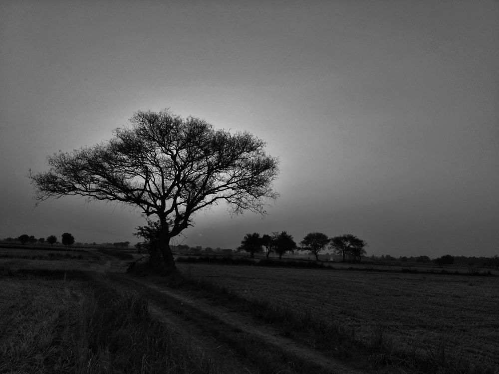 Photograph by Rohit Deshwal