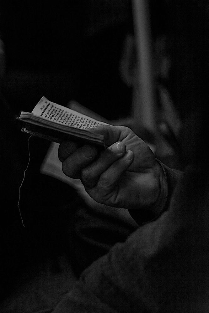 Photograph by Венера