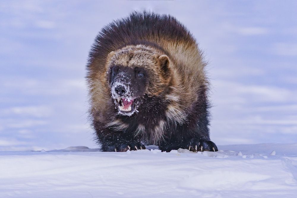 Держи дистанцию.